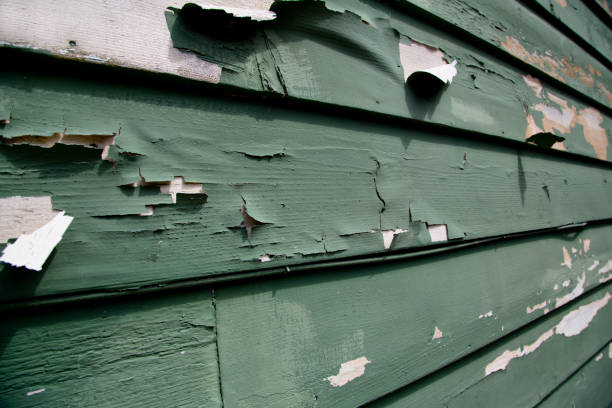 Best Historical Building Siding Restoration  in Sulligent, AL