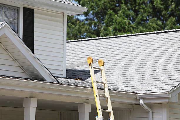 Best Brick Veneer Siding  in Sulligent, AL